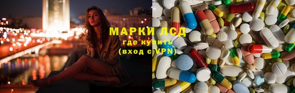 индика Майский
