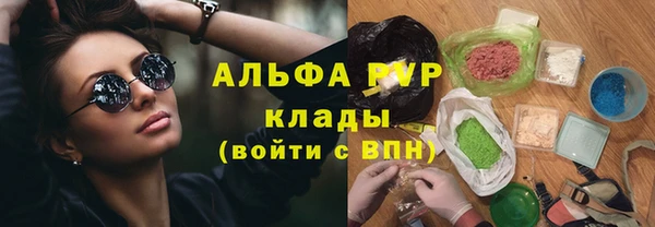 индика Майский
