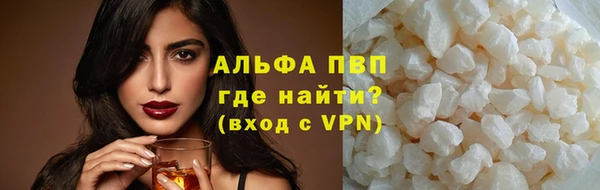 индика Майский