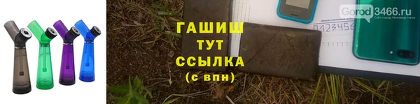 индика Майский
