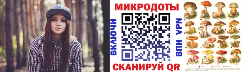 Псилоцибиновые грибы Psilocybe  Геленджик 