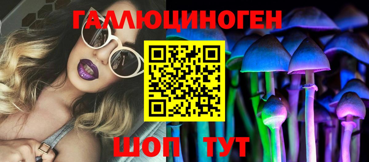 Псилоцибиновые грибы Cubensis  Вход с VPN  Геленджик 
